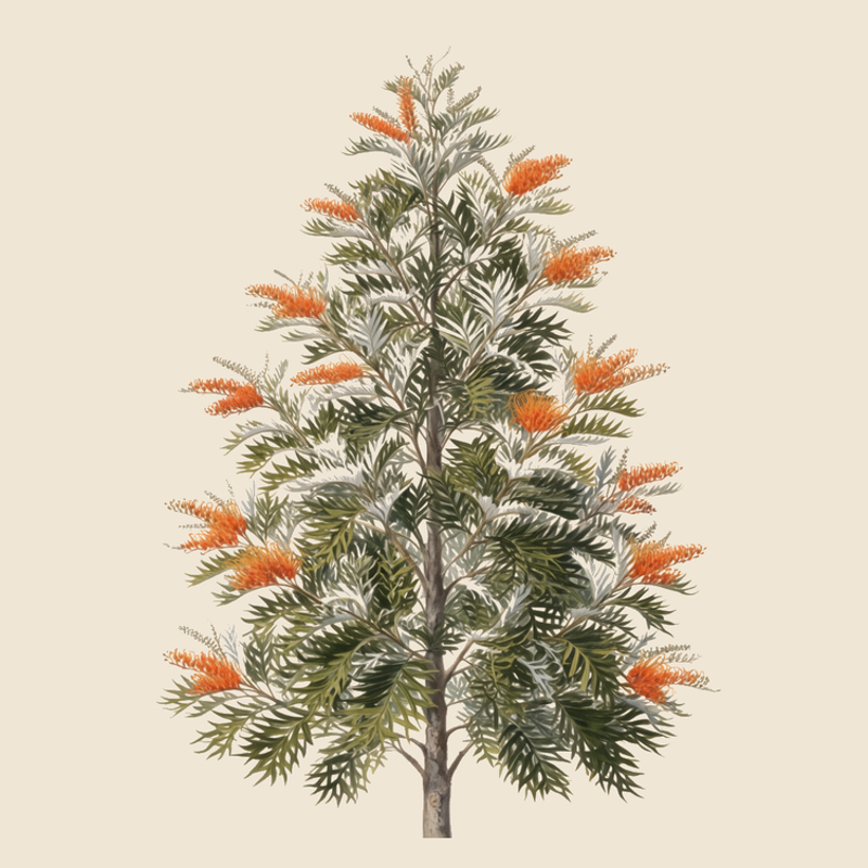 Silky oak (Grevillea robusta) — syntropic agroforestry species
